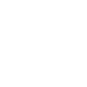 made-in-the-usa-FFFFFF